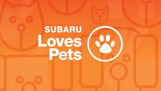 Dean Team Subaru in Ballwin MO