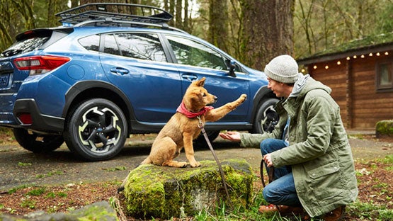 Dean Team Subaru in Ballwin MO