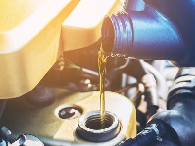 Synthetic Oil/Filter Change $79