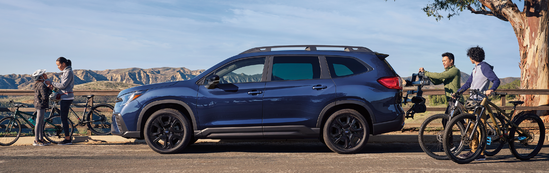 New 2025 Ascent Specials